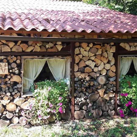 Appartment Bezenica Dobrova ภายนอก รูปภาพ